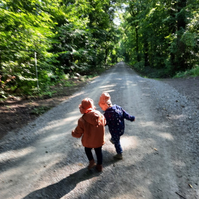im Wald im Wald