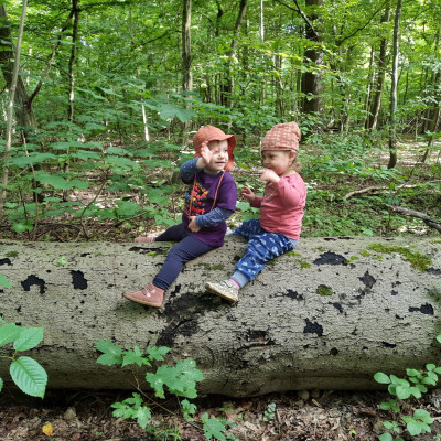 auf dem Baum auf dem Baum