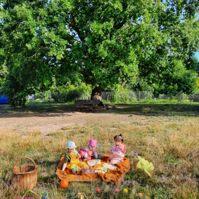 Ein Picknick unterm Baum...