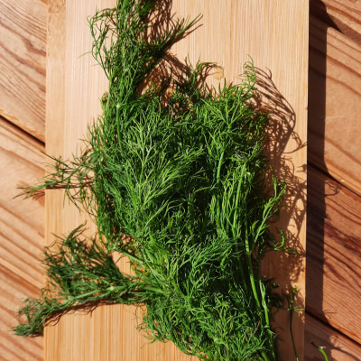 Dill