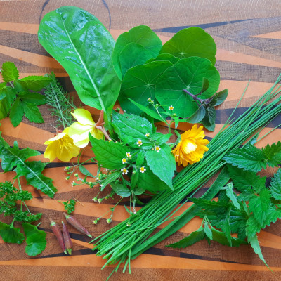 Franzosenkraut und andere