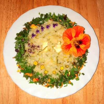 Risotto mit Wildkräutern Risotto mit Wildkräutern
