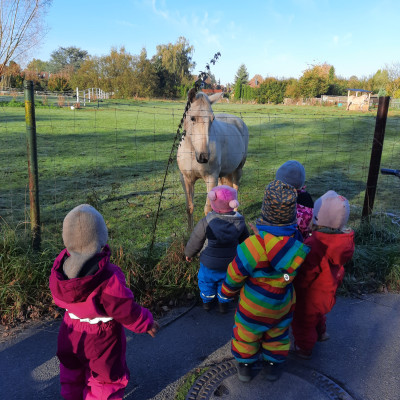 Hallo Pferd Hallo Pferd