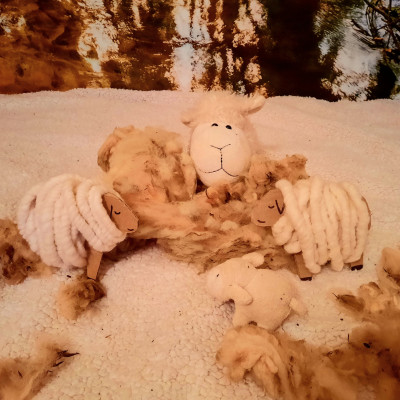 Schafwolle und Schafe wickeln Schafwolle und Schafe wickeln
