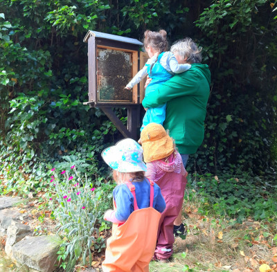 Besuch Bienenstock Besuch Bienenstock