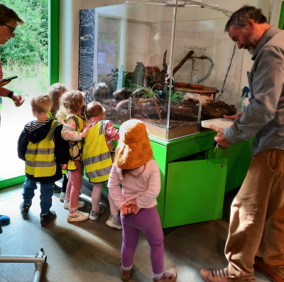Besuch Ameisenhaufen Besuch Ameisenhaufen