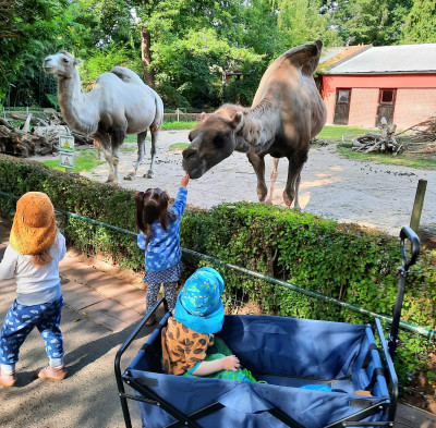 Besuch im Zoo Besuch im Zoo