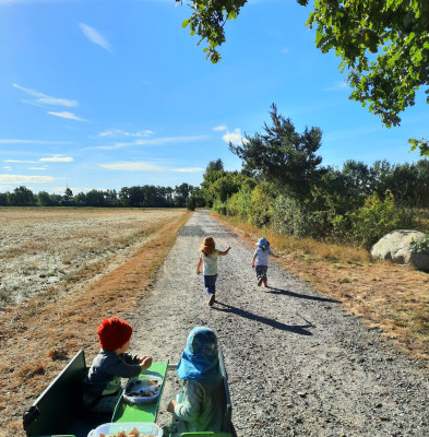 Ausflug zu den Feldern