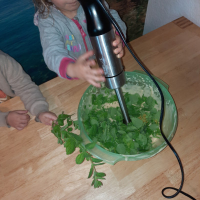 grüner Melissen.Kuchen grüner Melissen.Kuchen