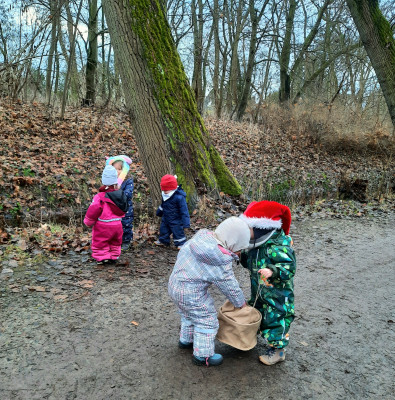 Hohoho, Weihnachtskörner für die Tiere