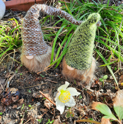 Mit Wutz und Mutz entdecken wir den Frühling