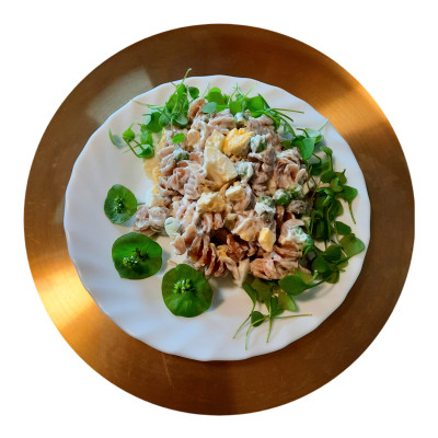 Nudelsalat mit Portulak