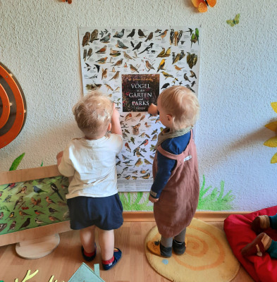Viele Vögel mit lustigen Namen