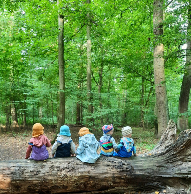 Zwitscher.Lauschen im Wald